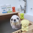 아리미용실