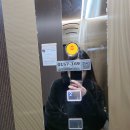 삼성펫클리닉 이미지