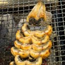 왔다강장어 이미지