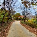 성주호 둘레길 독용산성길 코스 이미지