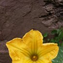 이상은농장 이미지