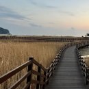 다대포 돌짜장 이미지