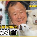 동물다큐 - 사랑으로 더불어 사는 아저씨와 강아지들❤️ | 동물극장 단짝 EP26 | KBS 220730 방송 이미지