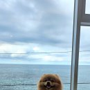 고즈넉한주문 이미지