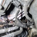 지성카센터 이미지