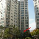 경희푸른솔한의원 이미지