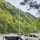 코미니티카페포레스트 네이버블로그