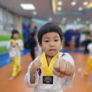 미산태권도 이미지