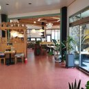 소풍나레 이미지