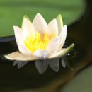 대덕문화원 이미지