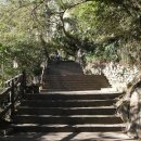 rest in jeju 이미지