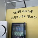 꽈미당 남매꽈배기 이미지