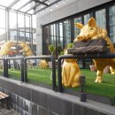 돈우식당 이미지