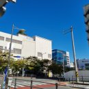 평화부동산공인중개사사무소 이미지