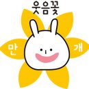 묘발소 이미지