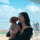 티파니펫 이미지