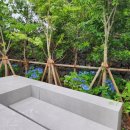 스테이정연 이미지