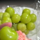 효진카센타 이미지