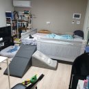 모산골 공원 | 평택 원룸이사 꿀팁!! 업체선정 방법!