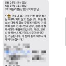 세화 엘라 이미지