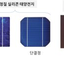 해바라기태양광 이미지