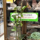 새보건약국 이미지