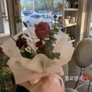 바이올린 (A) NEW 이미지