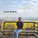 중랑천우이천 합류부 공중화장실 | 응봉산 개나리 축제 개화 상황 만개 팔각정 전망대 포토존 성동구 가볼만한곳 주차 4월 서울 꽃구경 데이트