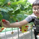 안내초등학교 이미지