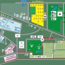 알프스농원 캠핑장 이미지