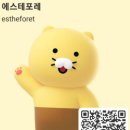 에스테포레 네이버블로그