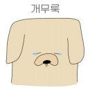 이정민애견미용학원