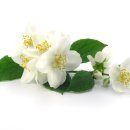 야간)인터넷쇼핑몰 창업 이미지