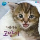 야옹야옹 이미지