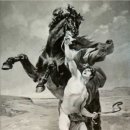 부케팔로스 이미지