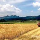 전라도양곡 이미지