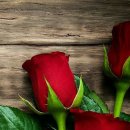 그리움한잔 이미지