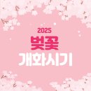 개화 이미지