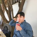 라이프트리 이미지