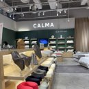 오빠네세탁 | 가누다 경추베개 [블루라벨 피아노 에어, 골드라벨 프리모 에어] 내돈내산 찐 후기