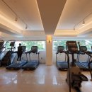 메이저피트니스 이미지