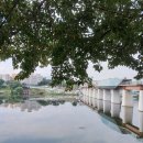 동구산책길, 걷고 싶은 대구선옛철길/디트로기자단