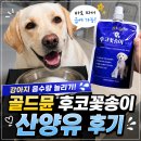 강아지 대형견 산양유 추천! 골드뮨 후코꽃송이 산양유 후기