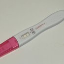 배테기 2줄, 임테기 2줄, 산부인과 임신확인, 임신 극초기증상