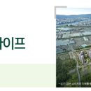 주식회사 율동