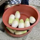 선릉내장탕 이미지