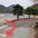 휴양림 입구 ~ 흑석산자연휴양림 이미지