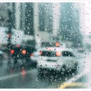 생활속에 자동차 이미지