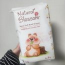 블러썸 PC | 광고전화없는 직접받은 출산-임신 축하박스 신청리스트