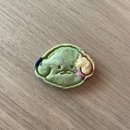 콩자반 애견유치원 이미지